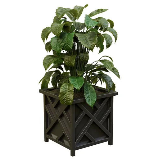 Lush Foliage