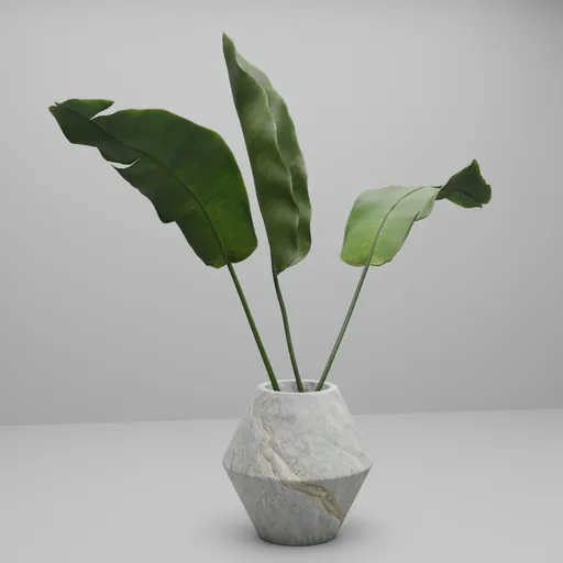 Tropical Bird of Paradise Leaf
