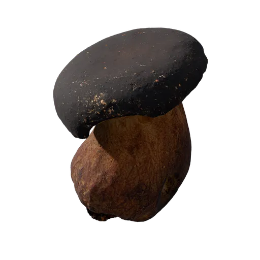 Mushroom