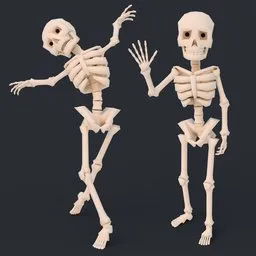 Skeleton lowpoly rig