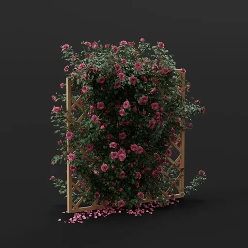 Red Climbing Rose