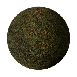 Grass