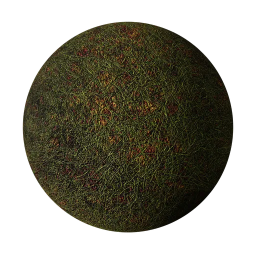 Grass