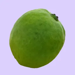 Guava