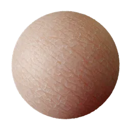 Human Skin