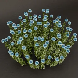 SJ-Moonlit Blossom Arrangement