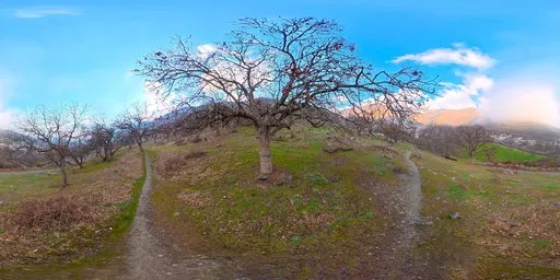 Spring Orchard Paths Green Mountain HDRI