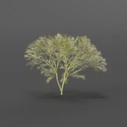 Realistic Blender 3D Palo Verde model with detailed green bark texture and expansive canopy for digital landscapes.