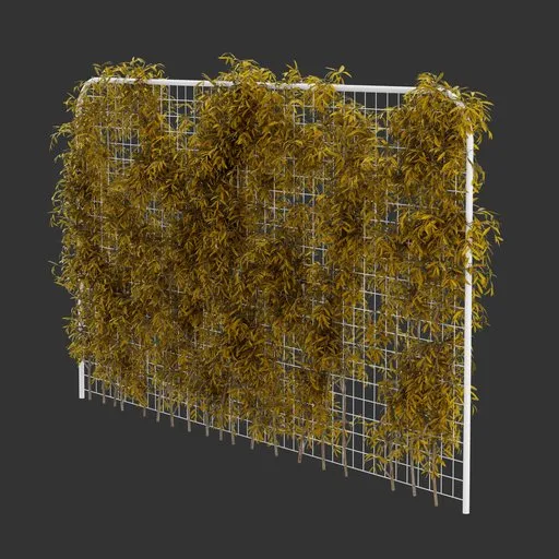 Fence Ivy Autumn Plant