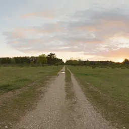 Sunset Meadow Path