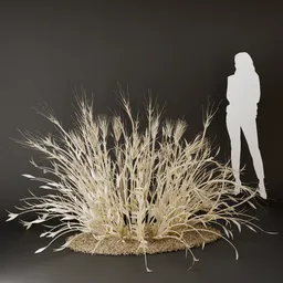 SJ-Unique Bush Accent