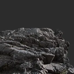 "Rocky Pacific ocean coast 3D model created with Blender 3D. High resolution render featuring a bird standing on a rock. Photogrammetry-based scan of rugged coastline in Tofino, Vancouver Island, British Columbia, Canada."