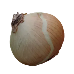 Scanned Onion