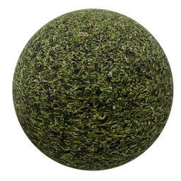 High-quality seamless PBR grass texture for 3D modeling in Blender and other applications.