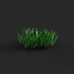 "Grass Mix - A photorealistic, untextured 3D model of green grass on a black surface. Perfect for mobile game icons in Blender 3D. Inspired by Víctor Manuel García Valdés, this model features tall grass with easy edges. Enjoy this simple and versatile grass mix texture for your projects."