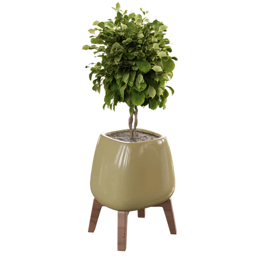 Plantset D