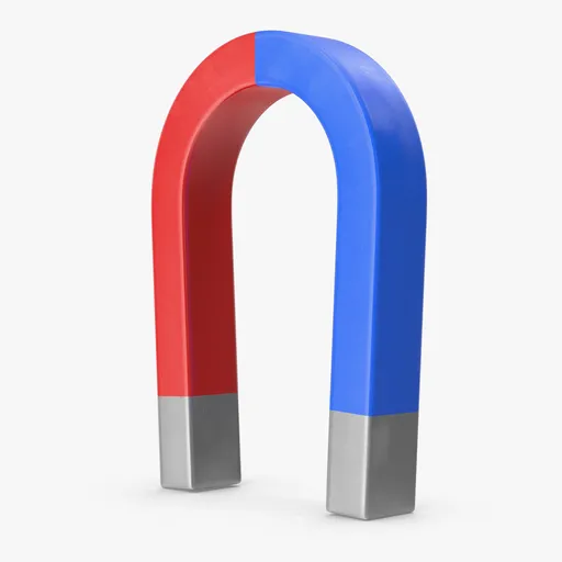 Magnet
