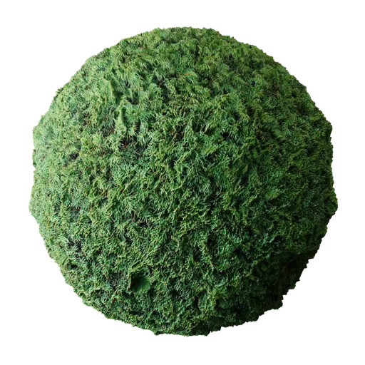 Hedge