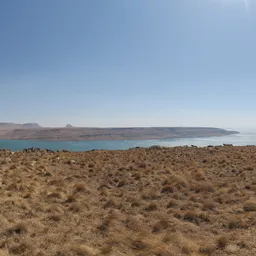 Qwantani Noon