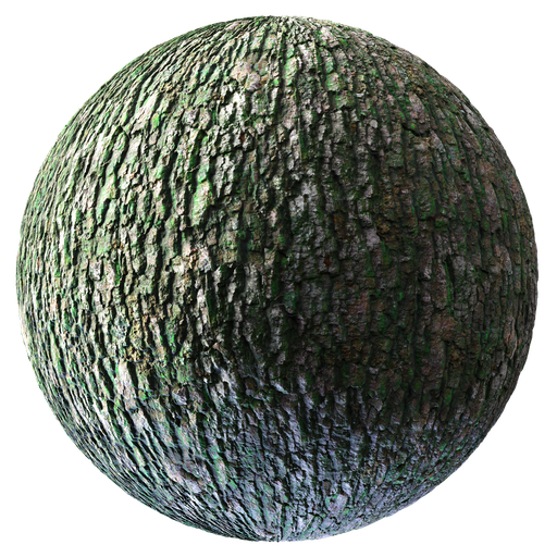 Thumbnail: Bark 02