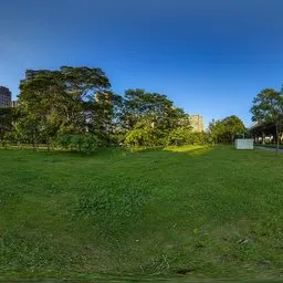 Green grass during the day