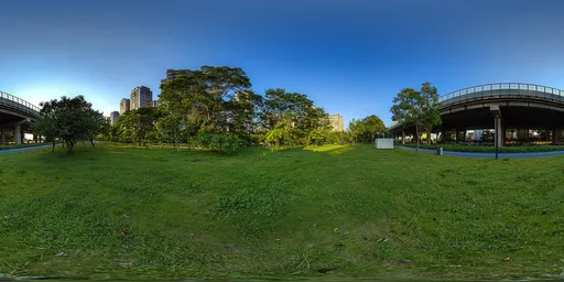 Green grass during the day