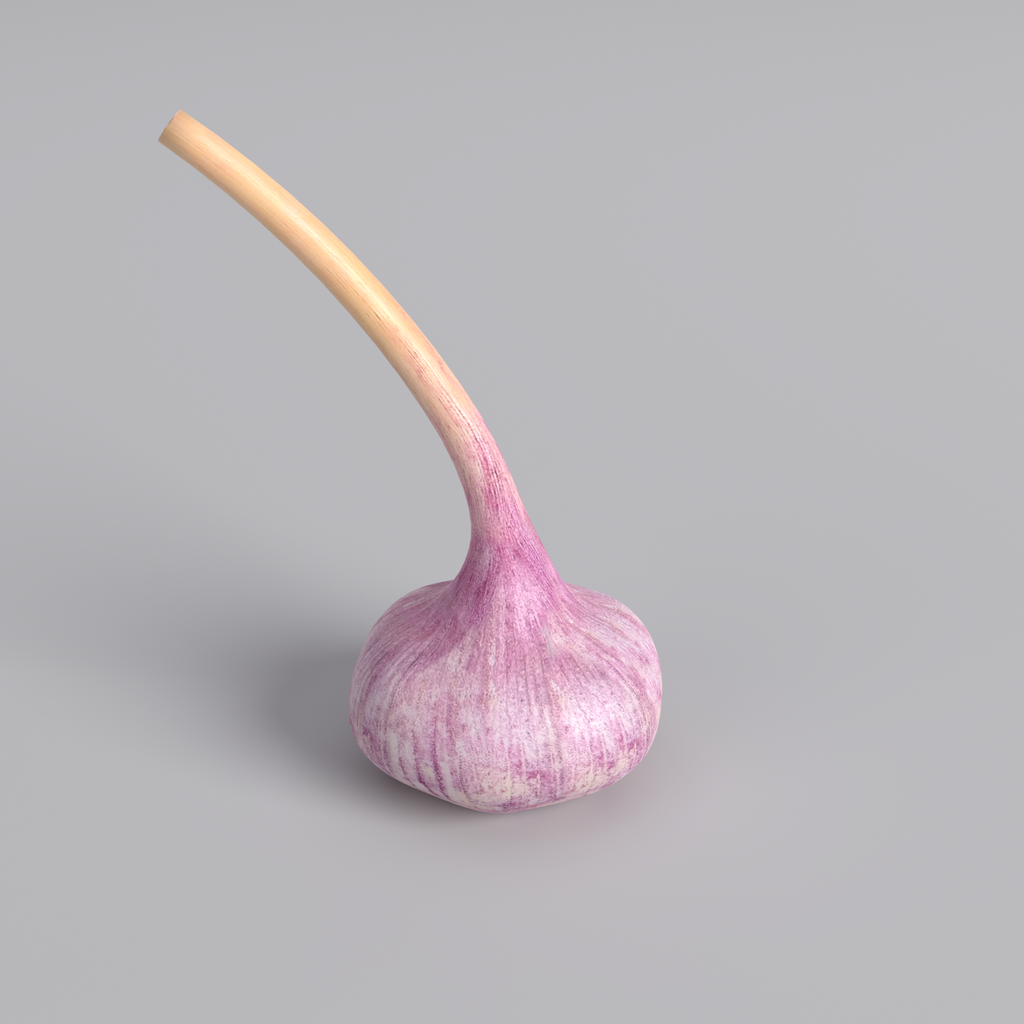 blenderkit-download-the-free-purple-garlicc-model