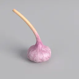 High-resolution 3D model of a purple garlic bulb, ideal for Blender 3D projects, rendering and animation.