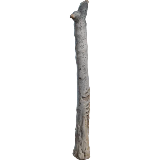 Dead Quiver Trunk