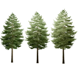 Highly-detailed 3D pine trees with customizable colours for Blender landscapes.