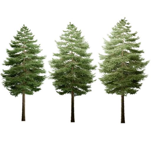 Highly-detailed 3D pine trees with customizable colours for Blender landscapes.
