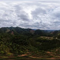 Cloudy forest sky HDRI