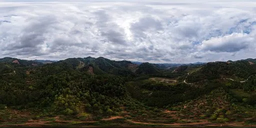 Cloudy forest sky HDRI