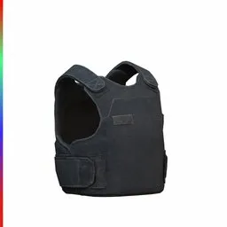 Vest Parent