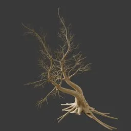Dry Tree - Crooked tree