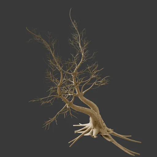 Dry Tree - Crooked tree