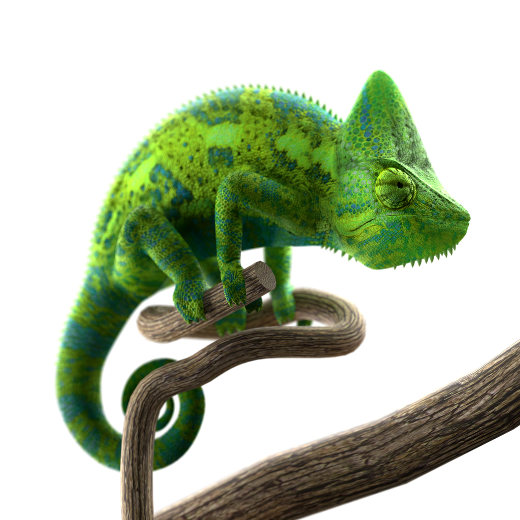 blenderkit-download-the-free-chameleon-model