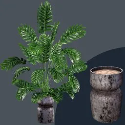 Highly detailed Monstera plant 3D model with PBR vase, ideal for Blender indoor nature renders.