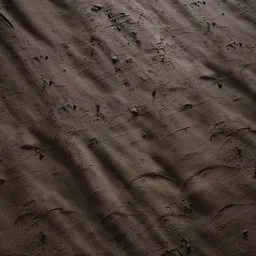 Michelia champaca Bark