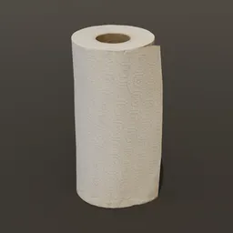 Kitchen Paper Roll