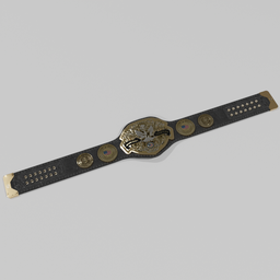 A.G.W. - Intercoastal Champion Belt