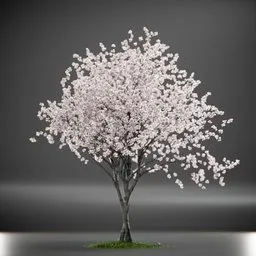 Tree Amelanchier Animated
