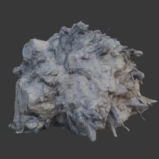 Tree roots with mud