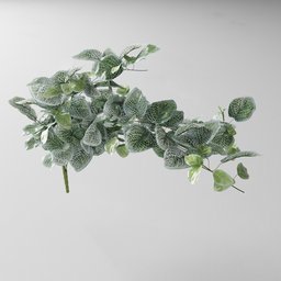 "Nature-inspired 3D model of an artificial tendril plant with white Fitonia leaves, perfect for indoor decor in Blender 3D. Geometry nodes created with Bagapia addon and rendered with Frostbite 3. Inspired by real products on the market, with textures including atlas tree and mint leaves."