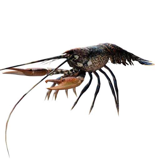 Blue Lobster