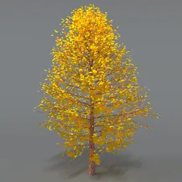 Forest Tree