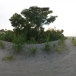 Sandy Grove Entrance HDRI
