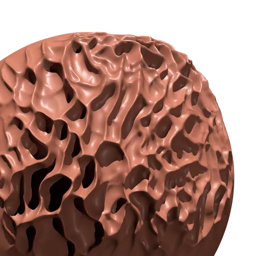 Morel Esculenta