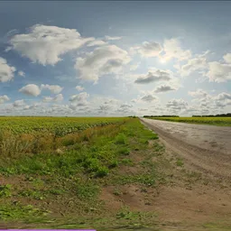 Summer Farmland Road