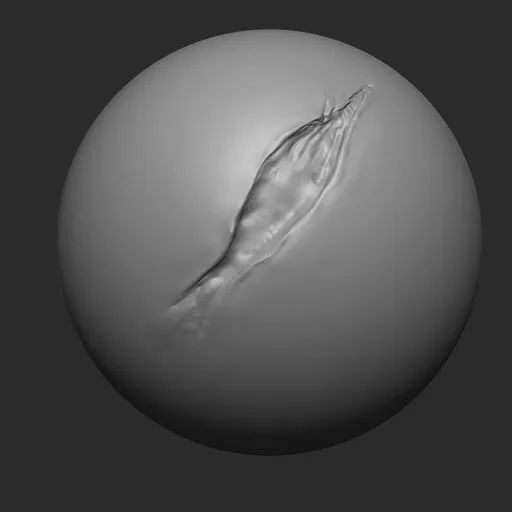 NS Flesh cut oval